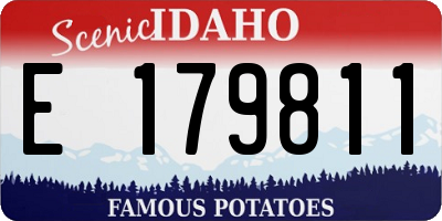 ID license plate E179811