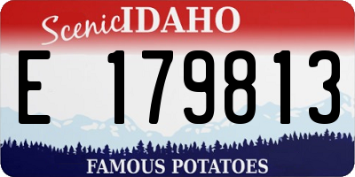 ID license plate E179813