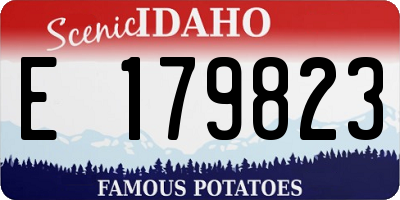 ID license plate E179823