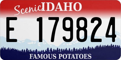 ID license plate E179824