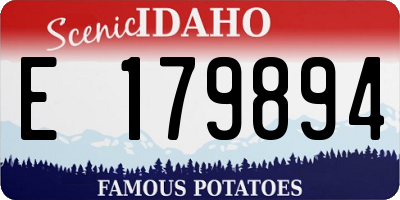 ID license plate E179894