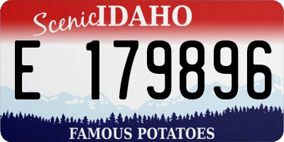 ID license plate E179896