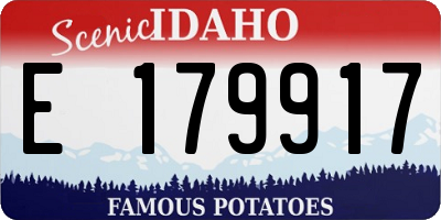 ID license plate E179917