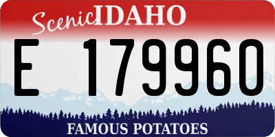 ID license plate E179960