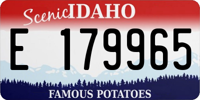 ID license plate E179965