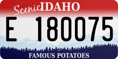 ID license plate E180075