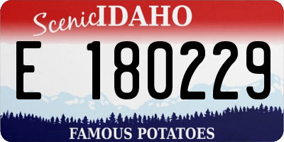 ID license plate E180229