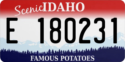 ID license plate E180231