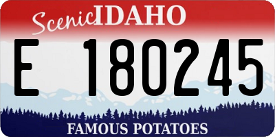 ID license plate E180245
