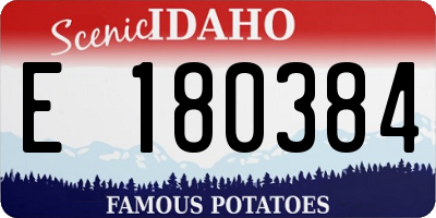 ID license plate E180384