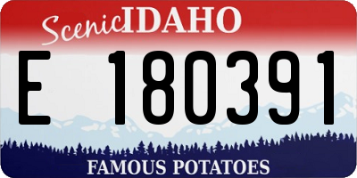 ID license plate E180391