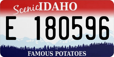 ID license plate E180596