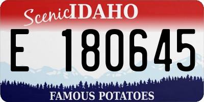 ID license plate E180645