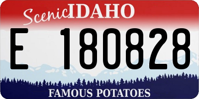 ID license plate E180828