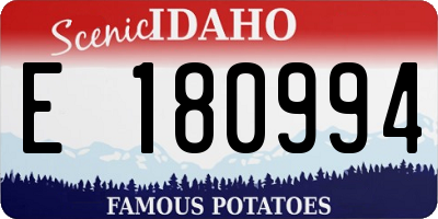 ID license plate E180994
