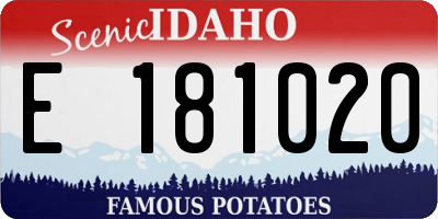 ID license plate E181020