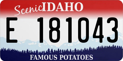 ID license plate E181043