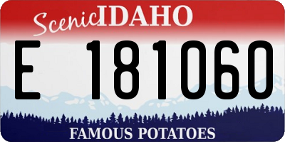 ID license plate E181060