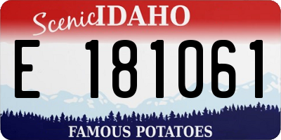 ID license plate E181061