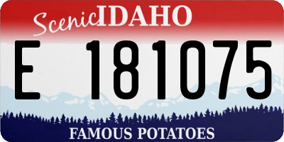 ID license plate E181075