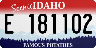 ID license plate E181102