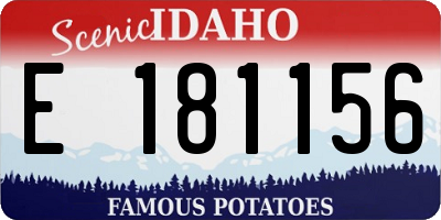 ID license plate E181156