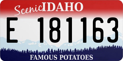 ID license plate E181163
