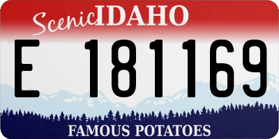 ID license plate E181169