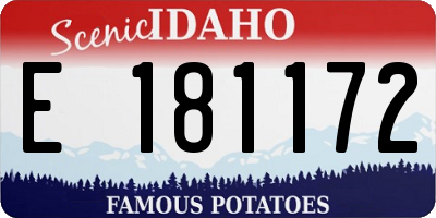 ID license plate E181172