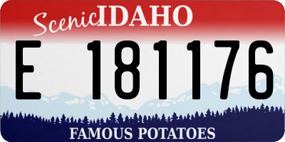 ID license plate E181176