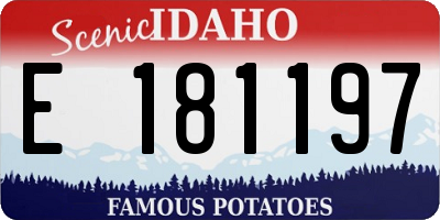 ID license plate E181197