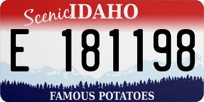 ID license plate E181198