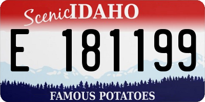 ID license plate E181199