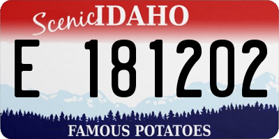 ID license plate E181202