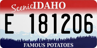ID license plate E181206