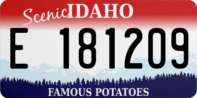 ID license plate E181209