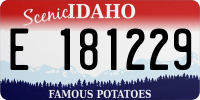 ID license plate E181229