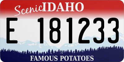 ID license plate E181233
