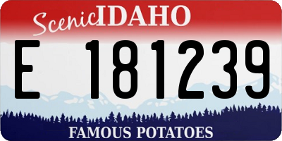 ID license plate E181239
