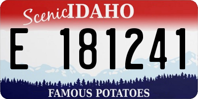 ID license plate E181241