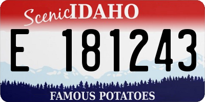 ID license plate E181243