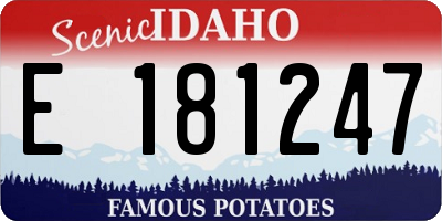 ID license plate E181247