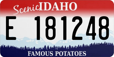ID license plate E181248