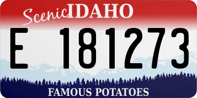 ID license plate E181273