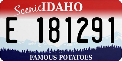 ID license plate E181291