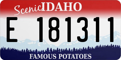 ID license plate E181311