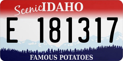 ID license plate E181317