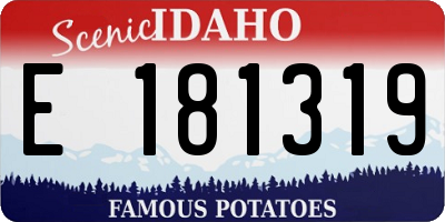 ID license plate E181319