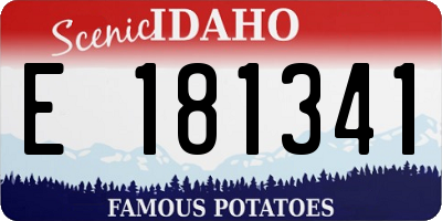 ID license plate E181341