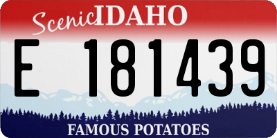 ID license plate E181439